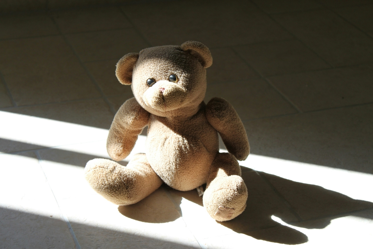 Stuffed Animal Collection